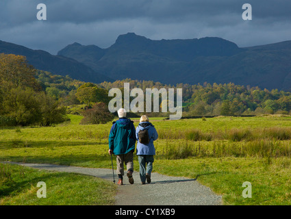 Älteres Paar zu Fuß in der Nähe von Elterwater mit Langdale Pikes im Hintergrund, Nationalpark Lake District, Cumbria, England UK Stockfoto