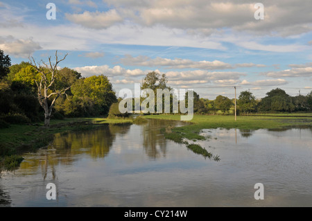 Überschwemmungen. Fluss Adur, Sussex. Fluss hat platzen Banken und überflutet die umliegenden Felder. Sussex, England, Oktober 2012 Stockfoto