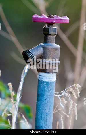 Zapfen mit Rieseln des Wassers Stockfoto