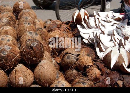 Kokosnüsse auf einen Anbieter Marktstand in Old Delhi angezeigt. Stockfoto