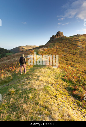 Ein männlicher Walker auf Hoffnung Bowdler Hügel in Shropshire Hügel in der Nähe von Kirche Stretton Stockfoto