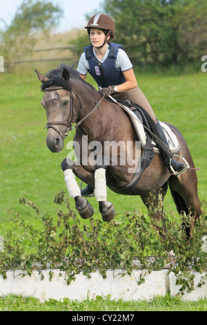 Junge Reiter auf Rückseite Connemara Pony springen über einen kleinen Zaun Stockfoto