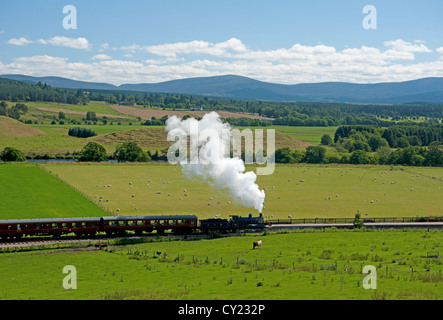 Der Strathspey Railway Dampf Lok 828 Haltestelle Broomhill, Strathspey Inverness-Shire.  SCO 8726 Stockfoto