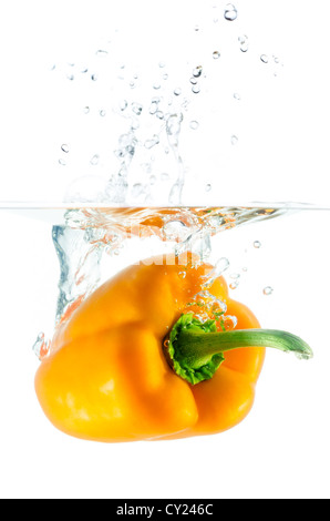 Orange Pepper verliebt sich in das Wasser vor weißem Hintergrund Stockfoto