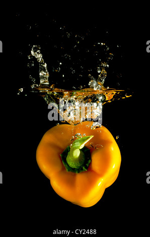 Orange Pepper verliebt sich in das Wasser vor schwarzem Hintergrund Stockfoto