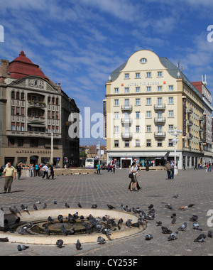 Timisoara, Rumänien Piata Victoriei, Menschen, Stockfoto