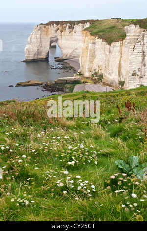 Klippen von Etretat, Normandie, Frankreich Stockfoto