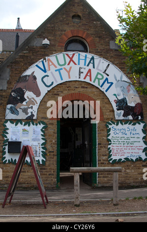 Vauxhall Stadtbauernhof, London, UK Stockfoto