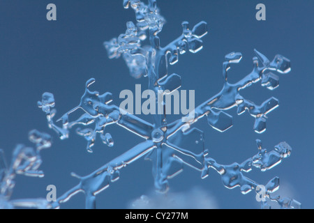 Extreme Nahaufnahme einer schmelzenden Schneeflocke. Stockfoto