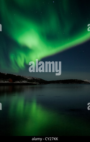 Nordlichter (Aurora Borealis) Reflexion im Wasser von einem Fjord, Lofoten, Nord-Norwegen Stockfoto