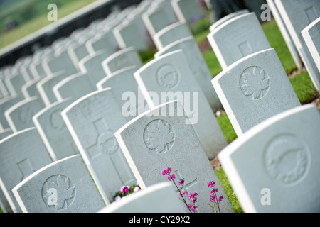 Die Grabsteine der gefallenen Commonwealth-Soldaten am Tyne Cot WW1 Soldatenfriedhof Passchendael, Belgien Stockfoto