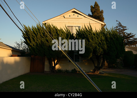 Los Angeles-Bäume vor Haus Stockfoto
