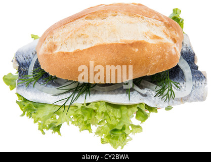 Frischer Hering auf einer Rolle vor weißem Hintergrund Stockfoto