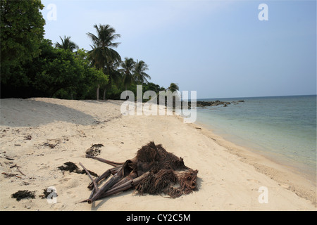 Strand auf Selingan Insel, Sandakan, Sulusee, Turtle Islands Park district, Sabah, Borneo, Malaysia, Südost-Asien Stockfoto