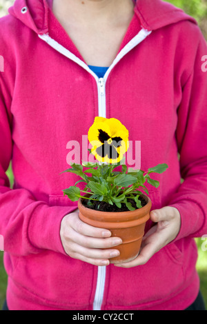 Junge weibliche Gärtner mit Stiefmütterchen, im heimischen Garten zu Pflanzen. Stockfoto