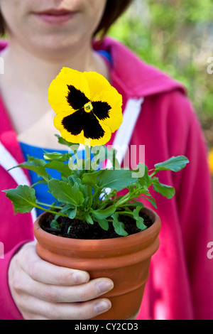 Junge weibliche Gärtner mit Stiefmütterchen, im heimischen Garten zu Pflanzen. Stockfoto