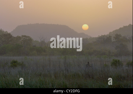 Ein Elefantenritt im Morgengrauen in Bandhavgarh National Park, Madhya Pradesh, Indien Stockfoto