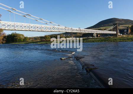 Melrose Kettenbrücke – erbaut 1826 von Redpath Brown &amp; Co. 1991 rekonstruiert. Links Melrose und Gattonside Stockfoto