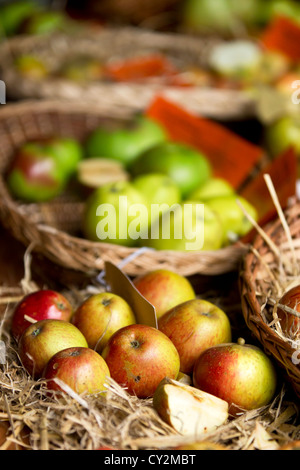 Apple Day Festival im Borough Market, Southwark, London, England, UK. Stockfoto