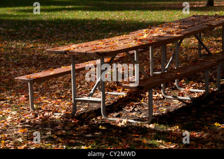 Herbstfarben auf Laub. Stockfoto