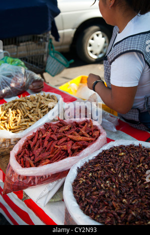 Chapulines, Heuschrecken gewaschen und geröstet und mit Chili und Limette und Whitebait für Verkauf auf Jamaika-Markt in Mexiko Stockfoto