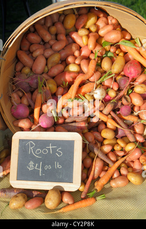 Massachusetts Plymouth, Plimoth Plantation, Bauernmarkt, Verkäufer Stände Stand Markt Markt, Käufer kaufen verkaufen, verkaufen, produzieren, roo Stockfoto