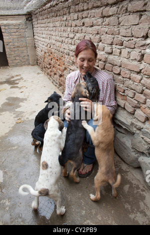 Nowzad ist ein Zwinger für Straßenhunde in Kabul, geführt von Louise haslie Stockfoto