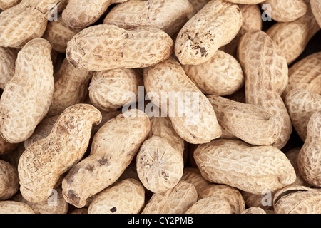 Hintergrund der geröstete Erdnüsse in einem Haufen gemacht Stockfoto
