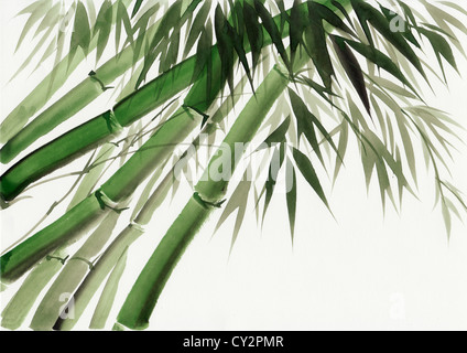 Original-Kunst, Aquarell von Bambus, asiatischen Stil, Malerei Stockfoto