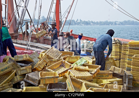 Thai Fischer entladen die Tage fangen von einem kommerziellen Fischkutter. Fischerhafen in Hua Hin Thailand S. E. Asien Stockfoto