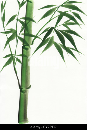 Original-Kunst, Aquarell von Bambus, asiatischen Stil, Malerei Stockfoto