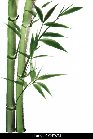 Original-Kunst, Aquarell von Bambus, asiatischen Stil, Malerei Stockfoto
