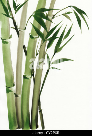 Original-Kunst, Aquarell von Bambus, asiatischen Stil, Malerei Stockfoto