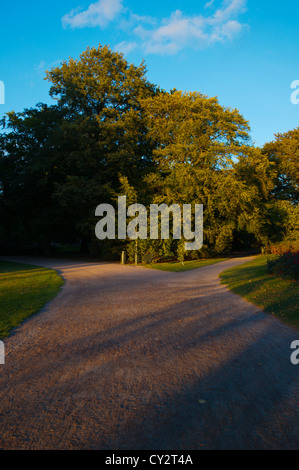 Slottsparken Park Malmö Stadt Skåne Grafschaft Schweden Europa Stockfoto