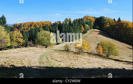 Herbst Moravskoslezske Beskydy Berge Balg Mala Kykula Hügel mit bunten Wald, Bergwiese und klaren Himmel im östlichsten Teil von Tschechien Stockfoto