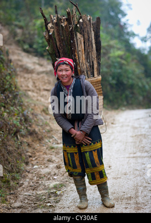 Roten Dzao Frau mit Holz In einem Korb auf dem Rücken, Sapa, Vietnam Stockfoto