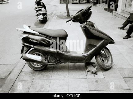 Reise Fotografie-schlafen-chihuahua Hund Tierheime unter eine Vespa in einer Straßenszene in Hanoi in Vietnam Südostasien Fernost. Reportage Stockfoto