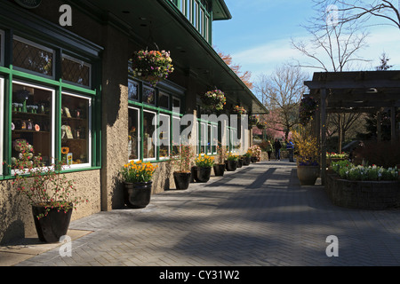 Butchart Gardens Waterwheel Square im Frühjahr. Wannen der Frühling Zwiebeln säumen den Spaziergang außerhalb der Souvenirladen. Stockfoto