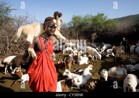 Massai-Stamm in Kenyafarming, Bauernhof, Landwirtschaft, Ziege, Ziegen, Schafe, Tier, Herde, Herder, herding Stockfoto