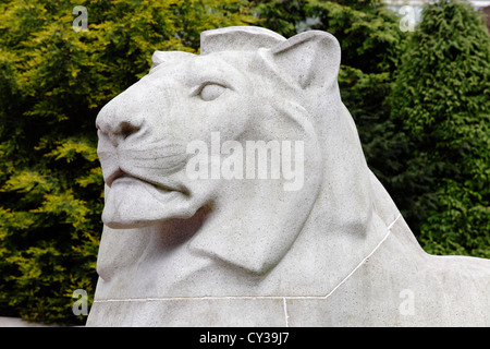 Der geschnitzte Kopf eines steinernen Löwen auf dem Kenotaph am George Square im Stadtzentrum von Glasgow, Schottland, Großbritannien Stockfoto