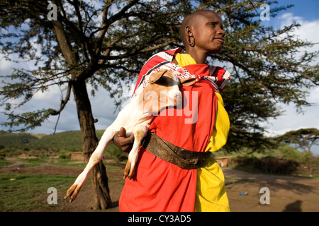 Massai-Stamm in Kenyafarming, Bauernhof, Landwirtschaft, Ziege, Ziegen, Schafe, Tier, Herde, Herder, herding Stockfoto