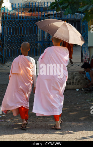 Buddhistische Nonnen in Rangun, Myanmar Stockfoto