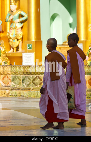 Buddhistische Nonnen zu Fuß rund um die Shwedagon-Pagode in Rangun, Myanmar Stockfoto