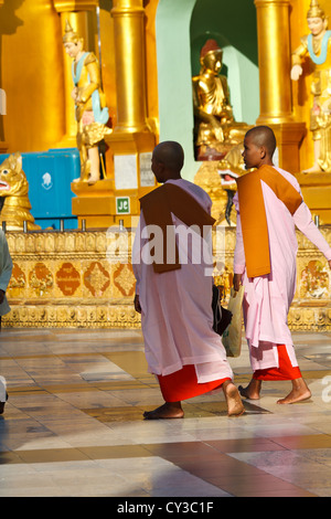 Buddhistische Nonnen zu Fuß rund um die Shwedagon-Pagode in Rangun, Myanmar Stockfoto