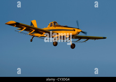 Ein Air Tractor Sprühflugzeug sprüht Mandelbäumen in der Sacramento Valley in Kalifornien. Stockfoto
