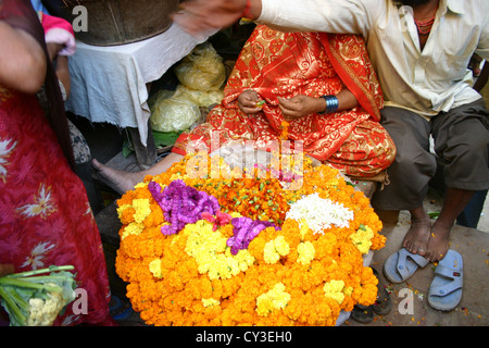 Traditionelle Dame gelb Ixora Blumen in Neu-Delhi für die hinduistische Festival der Durga Puja zu verkaufen Stockfoto