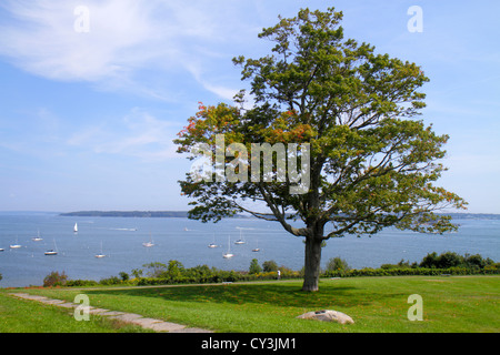 Portland Maine, Casco Bay, Fort Ft. Allen Park, landschaftlich, Rasen, Baum, Wasser, ME120825045 Stockfoto
