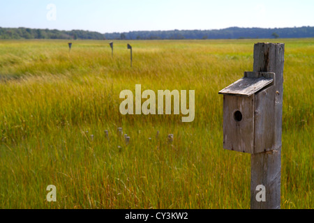 Maine Scarborough, Scarborough Marsh Audubon Center & Nature Store, Dunstan River, Birdhouse, ME120827012 Stockfoto