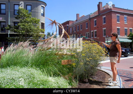 New Hampshire, Portsmouth, Market Square, Congress Street, Frau weibliche Frauen, Bewässerungsgarten, einheimische Blume, Pflanzen, Gräser, Schlauch, Arbeiter Stockfoto