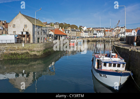 Pittenweem Hafen in der East Neuk of Fife in Schottland mit dem Fischmarkt auf der linken Seite. Stockfoto